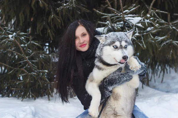 Joyeuse période hivernale de joyeuse jeune femme jouant avec un chien husky mignon dans la neige dans la rue . — Photo