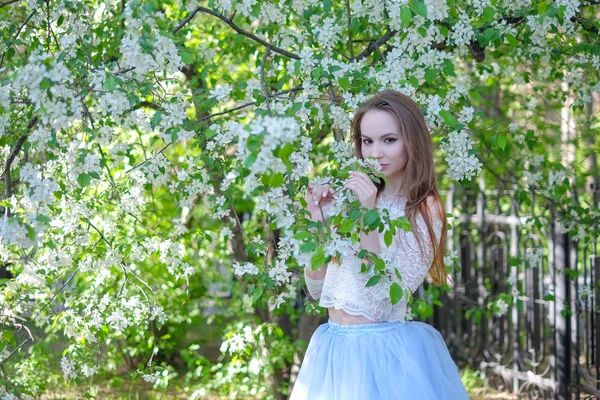 Fiatal nő szépségét az apple kert — Stock Fotó