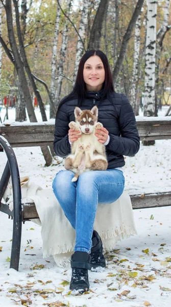 Soleado mañana congelada de moda disfrutado joven mujer jugando con husky dog en nieve al aire libre. Momentos encantadores, verdaderas emociones felices, mascotas domésticas lindas, vacaciones de invierno — Foto de Stock