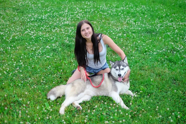 สาวสวยเล่นกับสุนัขฮัสกี้ตลกกลางแจ้งที่สวนสาธารณะ — ภาพถ่ายสต็อก