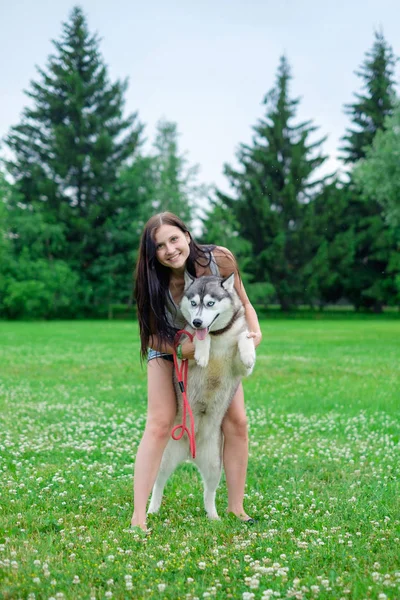 Vacker ung flicka som leker med rolig husky hund utomhus på park — Stockfoto
