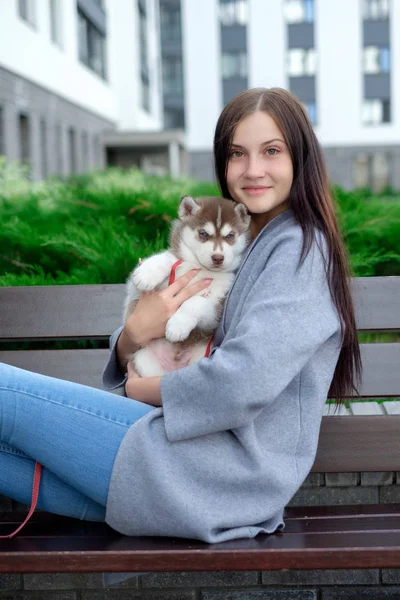 Vacker ung kvinna som sitter på träbänk och njuta med hennes söta lilla husky valp — Stockfoto