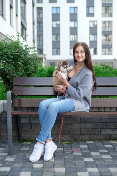 Красивая молодая женщина сидит на деревянной скамейке и наслаждаться с ее милый маленький хаски щенок — стоковое фото