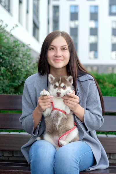 Hermosa joven sentada en un banco de madera y disfrutar con su lindo perrito husky —  Fotos de Stock