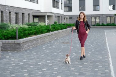 Husky yavrusu ile sokakta yürüyen genç çekici kadınlar