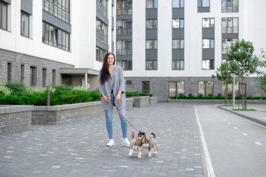 İki husky köpek yavrusu ile sokakta yürüyen genç çekici kadınlar