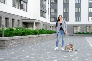 İki husky köpek yavrusu ile sokakta yürüyen genç çekici kadınlar
