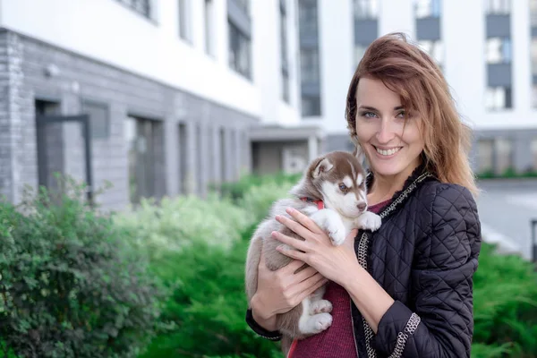 Lilla ganska husky valp utomhus i kvinnans händer — Stockfoto