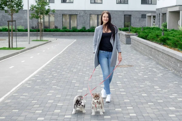 Молодые привлекательные женщины ходят с двумя хаски щенка на улице — стоковое фото