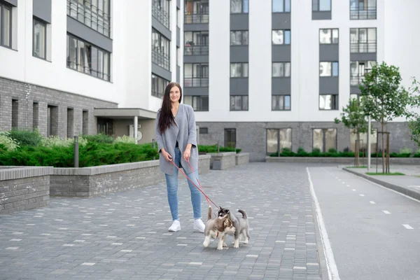 İki husky köpek yavrusu ile sokakta yürüyen genç çekici kadınlar