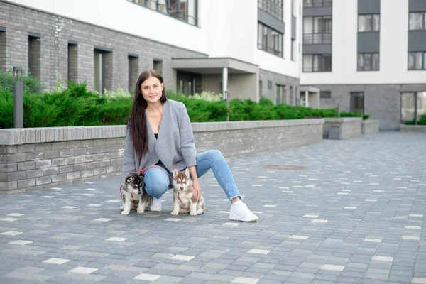Jóvenes mujeres atractivas caminando con dos cachorros husky en la calle — Foto de Stock