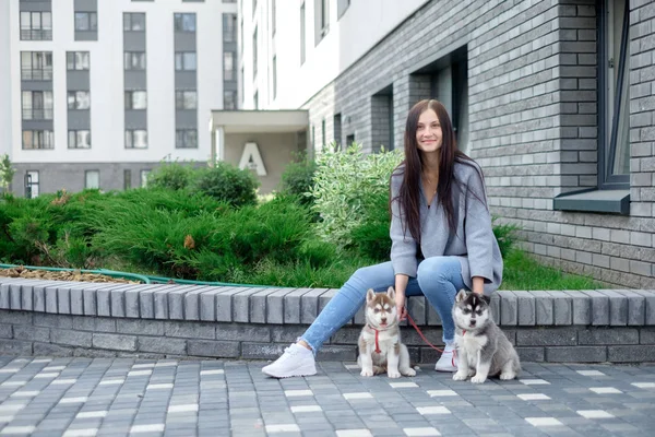Молодые привлекательные женщины сидят с двумя хаски щенок на улице — стоковое фото