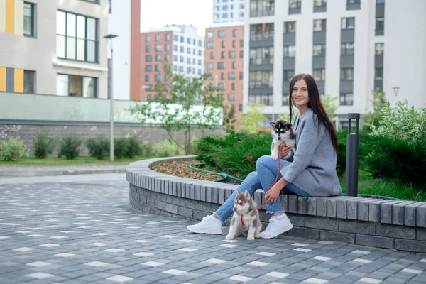 Jóvenes mujeres atractivas sentadas con dos perros husky cachorro en la calle — Foto de Stock