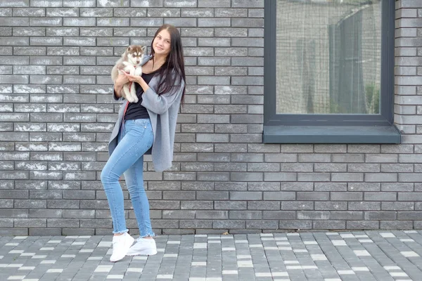 Bonita mulher bela jovem feliz com longo cabelo escuro segurando cachorro pequeno cão no fundo da cidade de rua com espaço de cópia — Fotografia de Stock