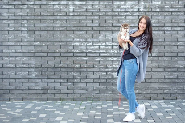 Bonita mujer hermosa joven feliz con el pelo largo oscuro sosteniendo cachorro de perro pequeño en el fondo de la calle de la ciudad con espacio de copia — Foto de Stock