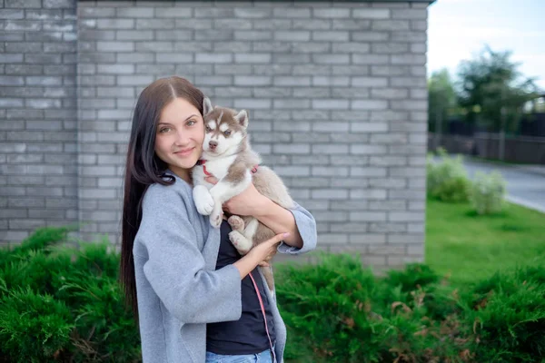 Bonita mujer hermosa joven feliz con el pelo largo oscuro sosteniendo cachorro de perro pequeño en el fondo de la calle ciudad —  Fotos de Stock