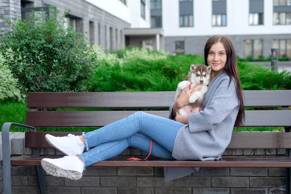 Tahta bankta oturan güzel genç kadın ve onun sevimli küçük köpek husky ile keyfini çıkarın