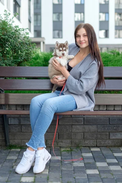 Tahta bankta oturan güzel genç kadın ve onun sevimli küçük köpek husky ile keyfini çıkarın
