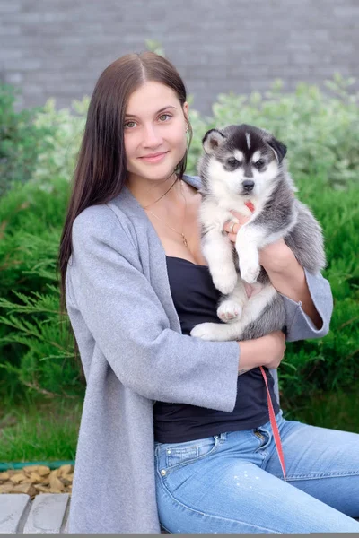 Hermosa joven sentada en un banco de madera y disfrutar con su lindo perrito husky —  Fotos de Stock