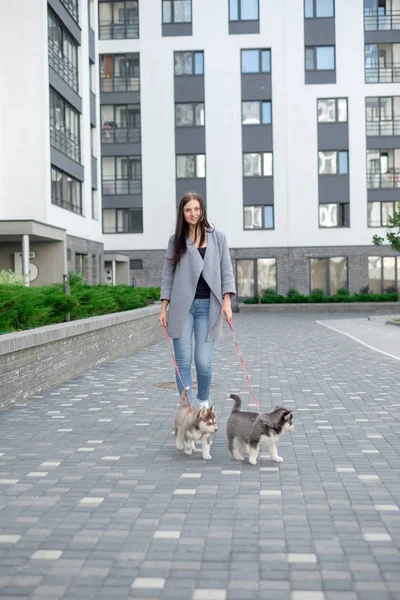 Sokak açık havada olan husky köpek güzel ve şık esmer kadın
