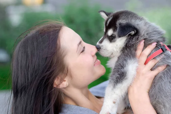Unga kvinnor innehar sin bästa vän lilla hundvalp av husky i famnen. kärlek till hundar — Stockfoto