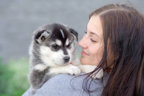 若い女性は、彼女の親友彼女の腕の中でハスキーの少しペットの子犬を保持しています。犬のための愛 — ストック写真