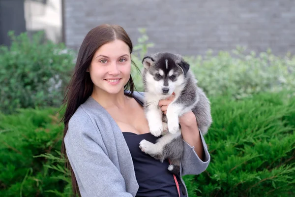 Las mujeres jóvenes sostiene a su mejor amigo cachorrito mascota de husky en sus brazos. amor por los perros —  Fotos de Stock