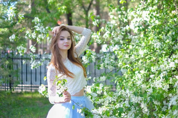 Hermosa chica de primavera en el árbol en flor — Foto de Stock