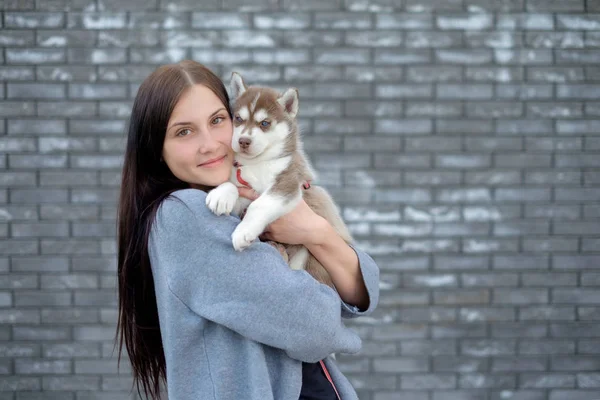 Mujer sonriente sosteniendo lindo cachorro husky —  Fotos de Stock