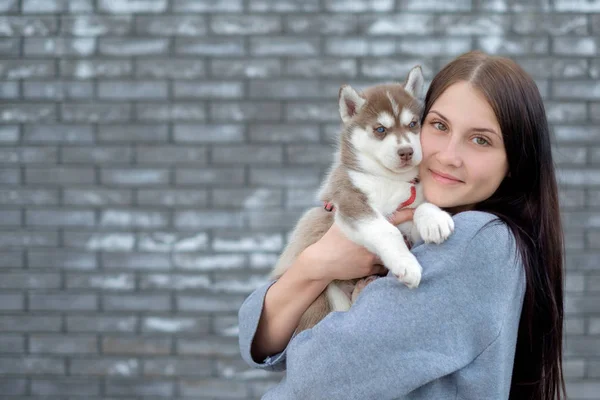 Mujer sonriente sosteniendo lindo cachorro husky —  Fotos de Stock