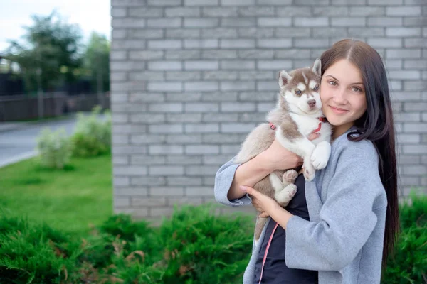 Mujer sonriente sosteniendo lindo cachorro husky —  Fotos de Stock