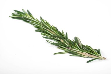 Beyaz arka planda izole edilmiş taze yeşil biberiye dalları