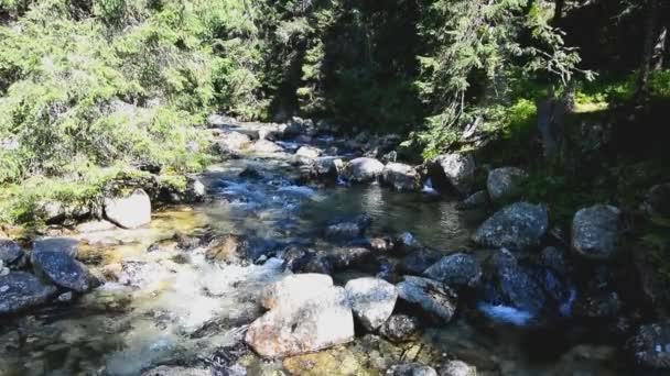 Acqua che scorre nel torrente — Video Stock