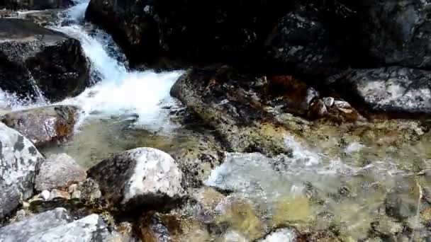 Acqua che scorre nel torrente — Video Stock