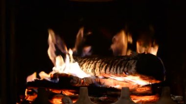 Odunu Şöminede Yandırma