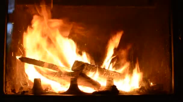 Brennende Baumstämme im Kamin — Stockvideo