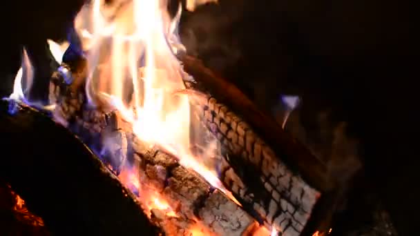 Grabación de registros en Chimenea — Vídeo de stock