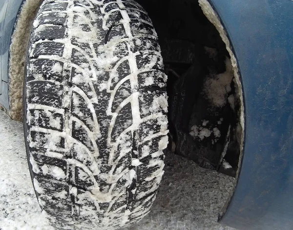 Tire in snow — Stock Photo, Image