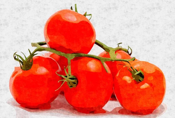 Tomatoes bunch oil painting — Stock Photo, Image