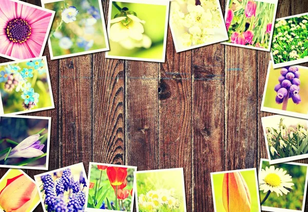 Spring floral frame — Stock Photo, Image