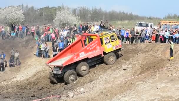 Off Road Truck Trial Championship — Wideo stockowe