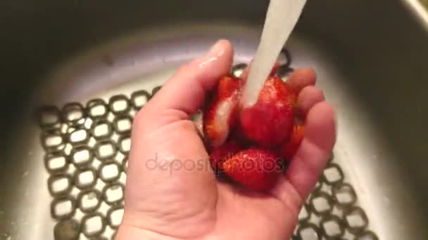 Lavando las fresas — Vídeo de stock