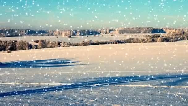 Зимний снежный пейзаж — стоковое видео