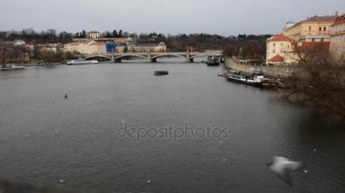 Turist gemileri seyir ve uçan kuşlar Prag şehir merkezinde Vltava Nehri'nin görünümü.