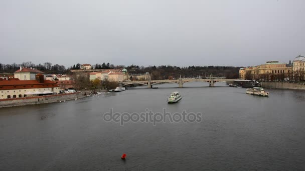 View Vltava River Cruising Tourist Ships Flying Birds Prague City — Stock Video