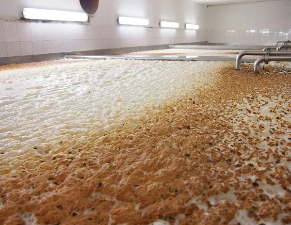 Fermentazione di una birra — Foto Stock