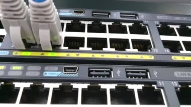 Bir ağ anahtarı veya yanıp sönen yeşil led ışıklar ile yönlendirici takılı Ethernet kablosu. Veri bağlantısı için kavramsal görüntüleri.