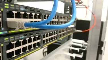 Bir ağ anahtarı veya yanıp sönen yeşil led ışıklar ile yönlendirici takılı Ethernet kablosu. Veri bağlantısı için kavramsal görüntüleri.