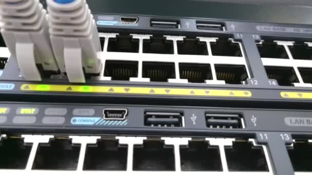 ネットワーク スイッチまたは緑の Led ライトが点滅するいるとルーターに接続されているイーサネット パッチ ケーブル データ接続の概念の映像 — ストック動画
