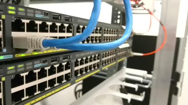 Ethernet Καλώδιο Δικτύου Συνδεδεμένο Ένα Δίκτυο Διακόπτης Δρομολογητή Αναβοσβήνει Πράσινο — Αρχείο Βίντεο